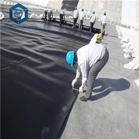 1,5 mm storio HDPE geomembranos kaina už kv